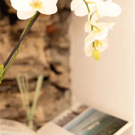 Belvedere 237a Lakeview Luxury דירה *